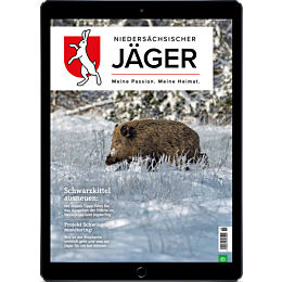 Digitales Upgrade für Leser der gedruckten Ausgabe