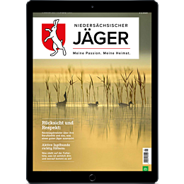 Digitales Upgrade für Leser der gedruckten Ausgabe