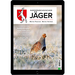 Pers&ouml;nliches Abo E-Paper