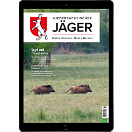 E-Paper-Upgrade f&uuml;r Leser der gedruckten Ausgabe