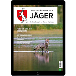 Pers&ouml;nliches Abo E-Paper