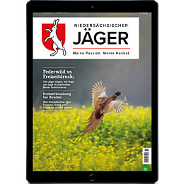Pers&ouml;nliches Abo E-Paper