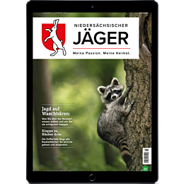 E-Paper-Upgrade für Leser der gedruckten Ausgabe
