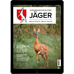 E-Paper-Upgrade für Leser der gedruckten Ausgabe