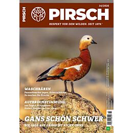 Persönliches Abo