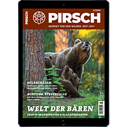 Pers&ouml;nliches Abo E-Paper