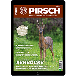 Pers&ouml;nliches Abo E-Paper