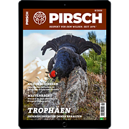 E-Paper-Upgrade für Leser der gedruckten Ausgabe