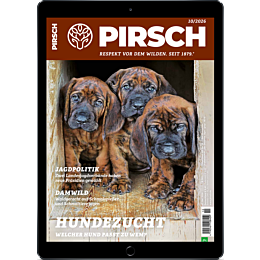 Pers&ouml;nliches Abo E-Paper