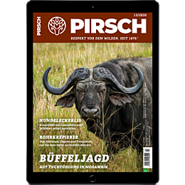 E-Paper-Upgrade f&uuml;r Leser der gedruckten Ausgabe
