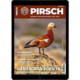 E-Paper-Upgrade für Leser der gedruckten Ausgabe