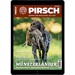 E-Paper-Upgrade f&uuml;r Leser der gedruckten Ausgabe
