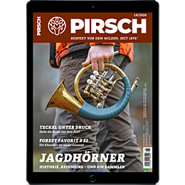 E-Paper-Upgrade f&uuml;r Leser der gedruckten Ausgabe
