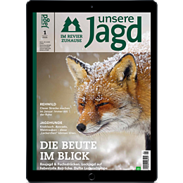 E-Paper-Upgrade f&uuml;r Leser der gedruckten Ausgabe