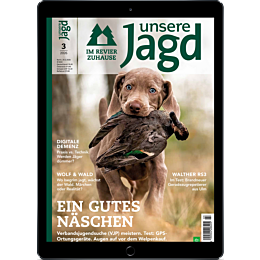 Pers&ouml;nliches Abo E-Paper