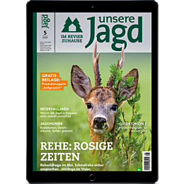 Pers&ouml;nliches Abo E-Paper