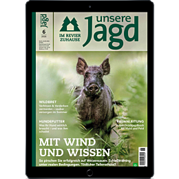 Pers&ouml;nliches Abo E-Paper