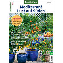 kraut&rüben Extra 3/26 – Mediterran! Lust auf Süden