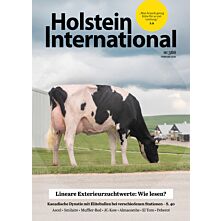 Persönliches Abo E-Paper