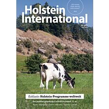 Persönliches Abo E-Paper