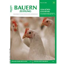 Schnupper-Abo E-Paper