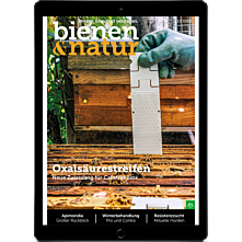 E-Paper-Schnupper-Abo