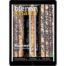 E-Paper-Abo 15 für 12