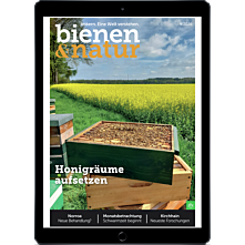 E-Paper-Schnupper-Abo