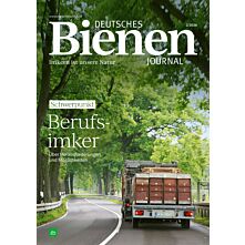 Persönliches Abo 15 für 12