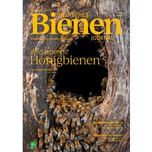 Geschenk-Abo Plus-Paket