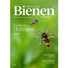 Persönliches Abo 15 für 12