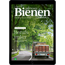 E-Paper-Schnupper-Abo