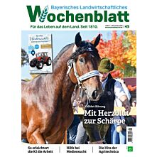 Persönliches Abo Plus-Paket