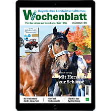 Persönliches Abo E-Paper