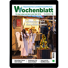 Schnupper-Abo E-Paper