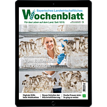 Schnupper-Abo E-Paper