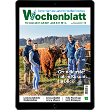 Schnupper-Abo E-Paper