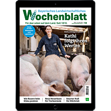 Schnupper-Abo E-Paper