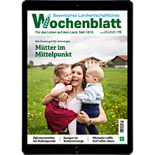 Persönliches Abo E-Paper