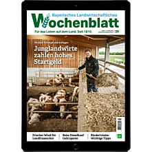 Geschenk-Abo E-Paper