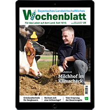 Persönliches Abo E-Paper