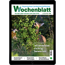 Schnupper-Abo E-Paper