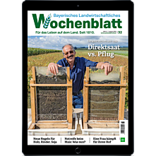 Schnupper-Abo E-Paper