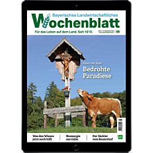 Schnupper-Abo E-Paper