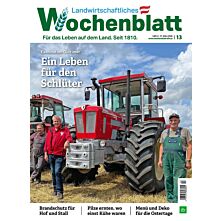 Schnupper-Abo Plus-Paket