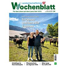  Persönliches Abo Plus-Paket