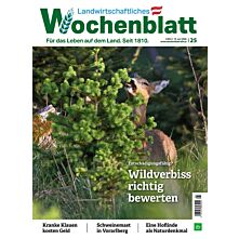 Studenten-Abo Plus-Paket