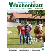 Schnupper-Abo Plus-Paket