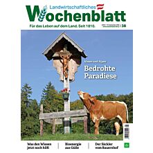 Schnupper-Abo Plus-Paket