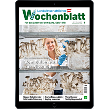 Geschenk-Abo E-Paper